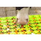 Horse Snuffle Mat